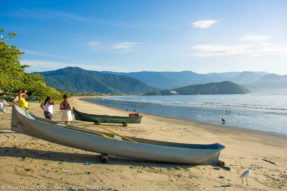 Imagem de turistas vendo os pássaros na praia.